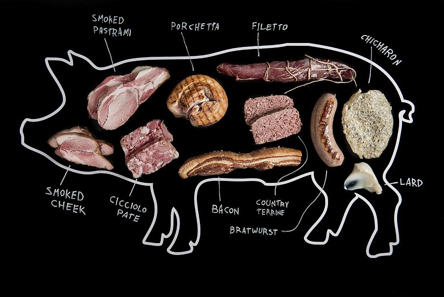 An Illustration Of A Pig Depicting Various Cuts Of Meat And Products