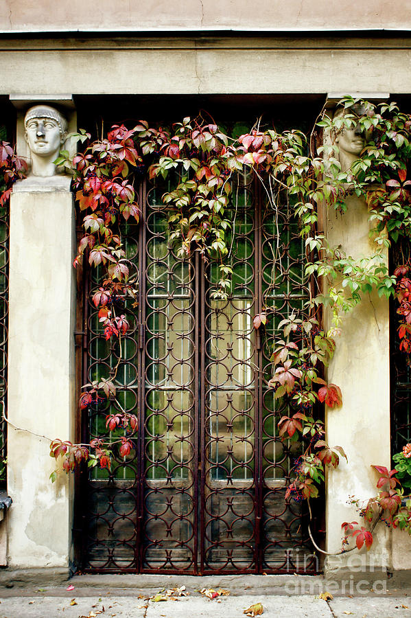 Architecture Photograph - An old doorway by Tom Gowanlock
