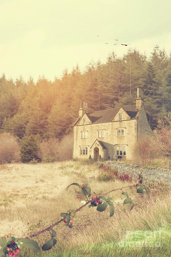 An Old Fashioned Cottage In Autumn Photograph by Ethiriel Photography