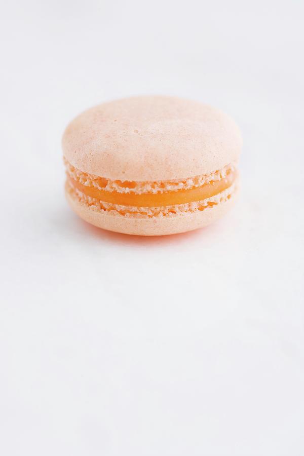 An Orange Macaron Photograph by Michael Wissing