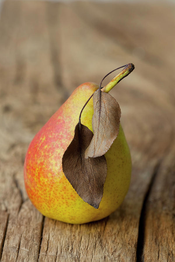 An Organic Pear With Dry Leaves Photograph by Hilde Mche