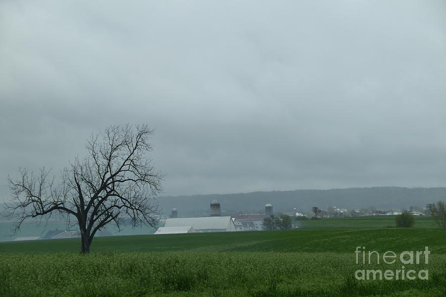 An Overcast Day on the Farmstead Photograph by Christine Clark