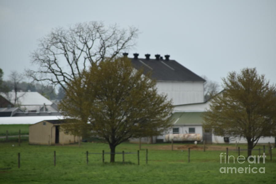 An Overcast Spring Day on the Farm Photograph by Christine Clark