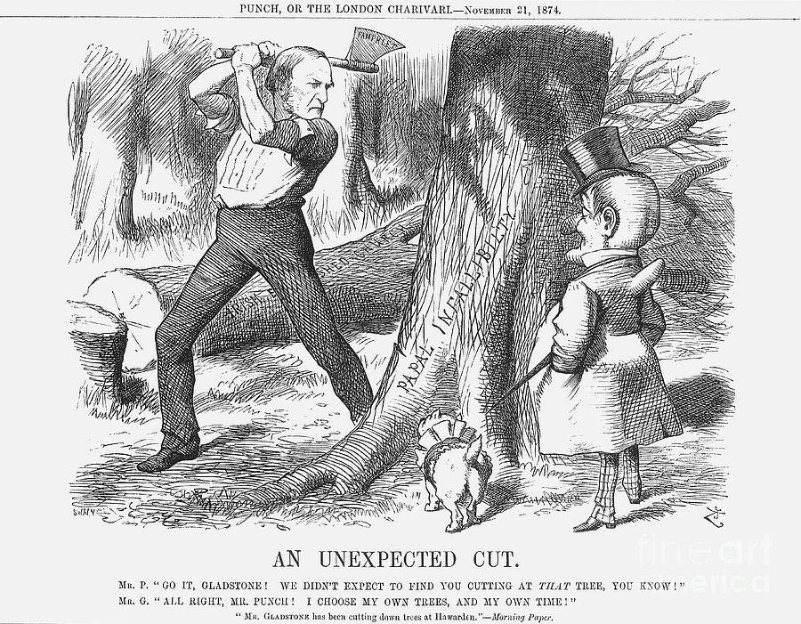 An Unexpected Cut, 1874. Artist Joseph Drawing by Print Collector ...