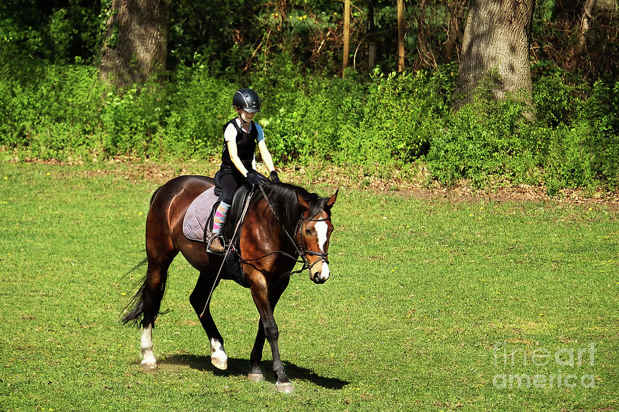 An Young Horsewoman Is Trained In Dressage In A Private School Photograph