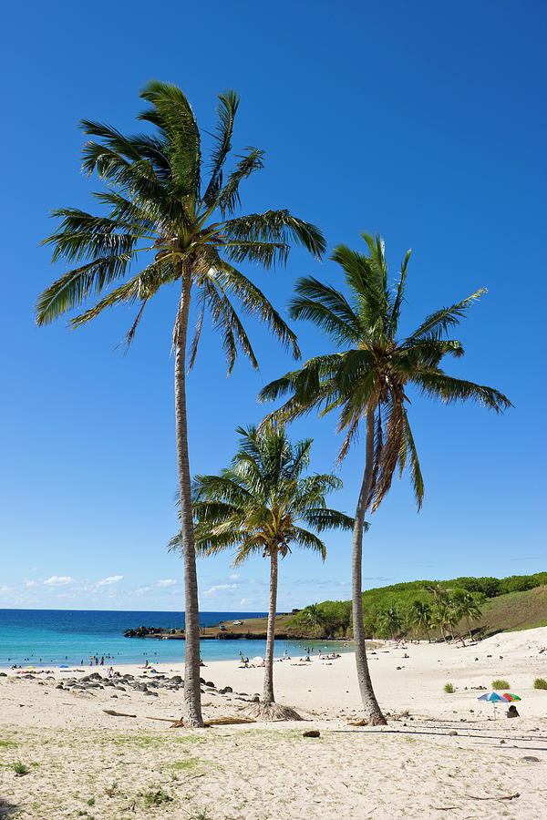 Anakena Beach, The Islands White Sand Photograph by Gavin Hellier / Robertharding Anakena Beach, The Islands White Sand Photograph by Gavin Hellier / Robertharding