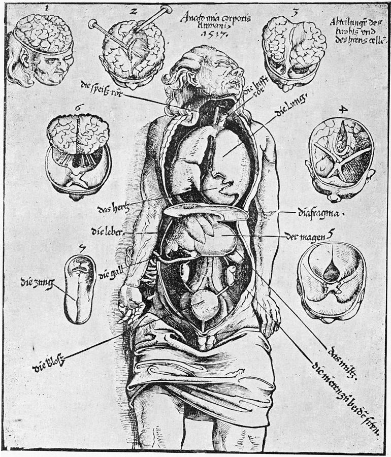 Anatomia Corporis Humani Photograph by Hulton Archive