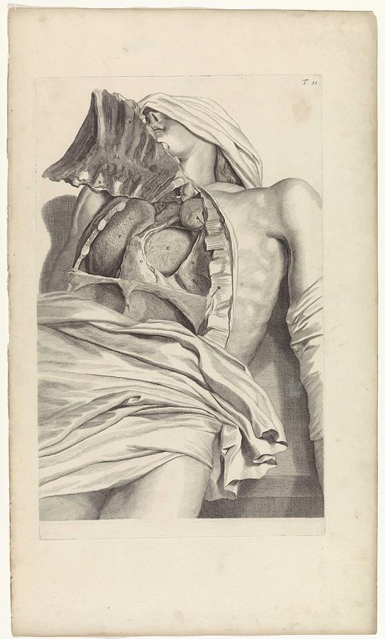 Anatomical study of the opened chest, Pieter van Gunst, after Gerard de Lairesse, 1685 Painting by Gerard de Lairesse