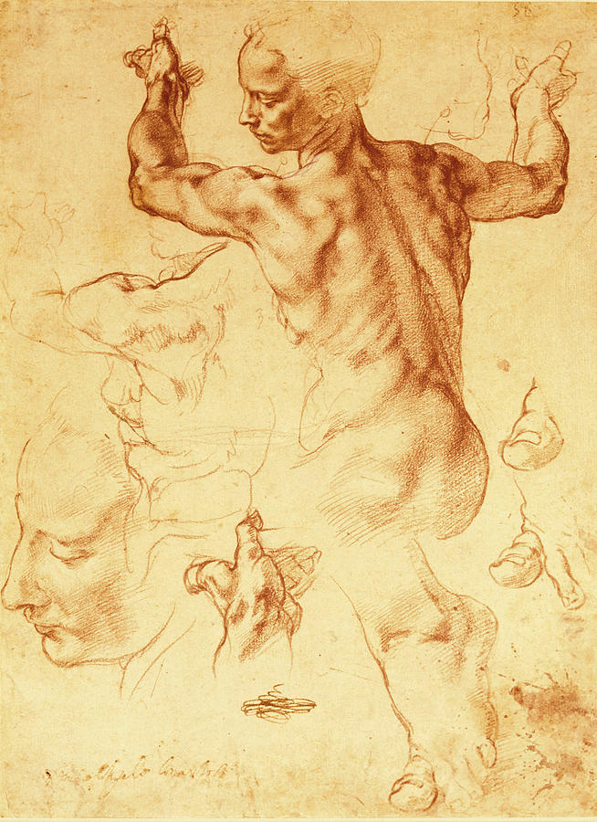 Michelangelo Painting - Anatomy Sketches (libyan Sibyl) by Michelangelo Buonarroti
