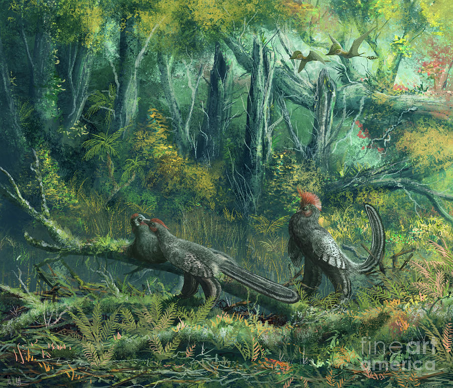 Anchiornis Dinosaurs Photograph by Mark P. Witton/science Photo Library