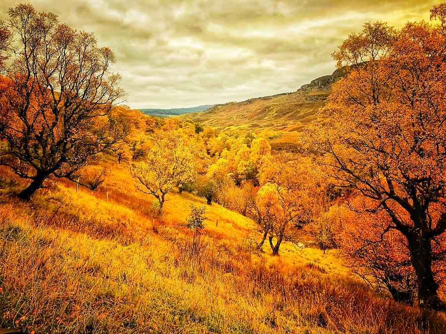 Ancient Autumn Photograph by Mark Egerton