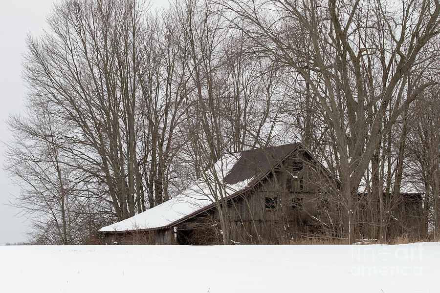 Ancient Barn by James Guilford Ancient Barn by James Guilford