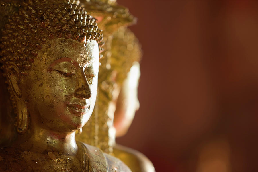 Ancient Buddha Images In A Thai Photograph by Enviromantic Ancient Buddha Images In A Thai Photograph by Enviromantic
