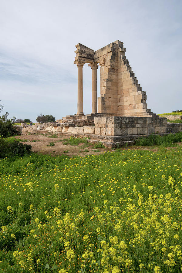 Ancient columns of Apollon Hylates, sanctuary in Limassol distri Photograph by Michalakis Ppalis