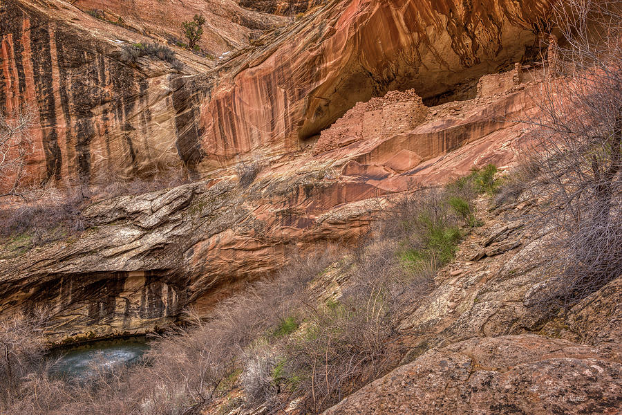 Anasazi Ruins Photograph - Ancient Dwellings Of The Southwest by Medicine Tree Studios Anasazi Ruins Photograph - Ancient Dwellings Of The Southwest by Medicine Tree Studios