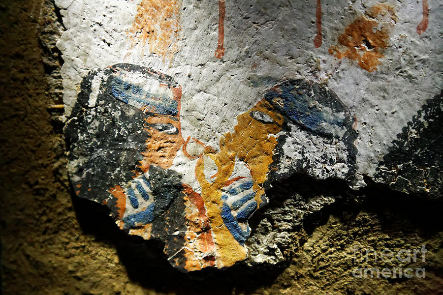 Ancient Egypt Art  Photograph by Sue Harper