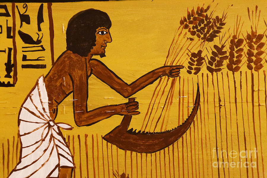 What Was The Role Of Farmers In Ancient Egypt