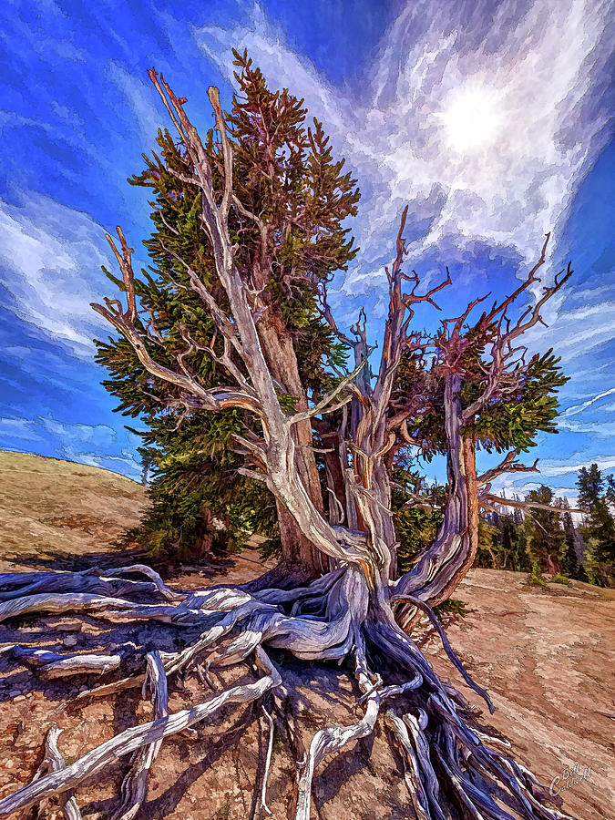 Ancient Expansion by ABeautifulSky Photography by Bill Caldwell Ancient Expansion by ABeautifulSky Photography by Bill Caldwell