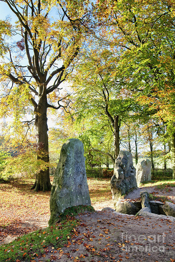 Ancient Long Barrow in Autumn Photograph by Tim Gainey