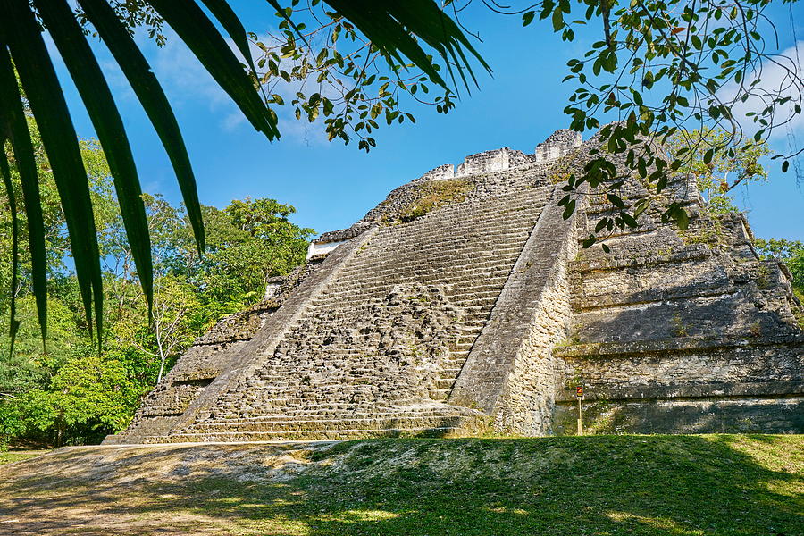 Mayan Photograph - Ancient Maya Ruins, Tikal National by Jan Wlodarczyk
