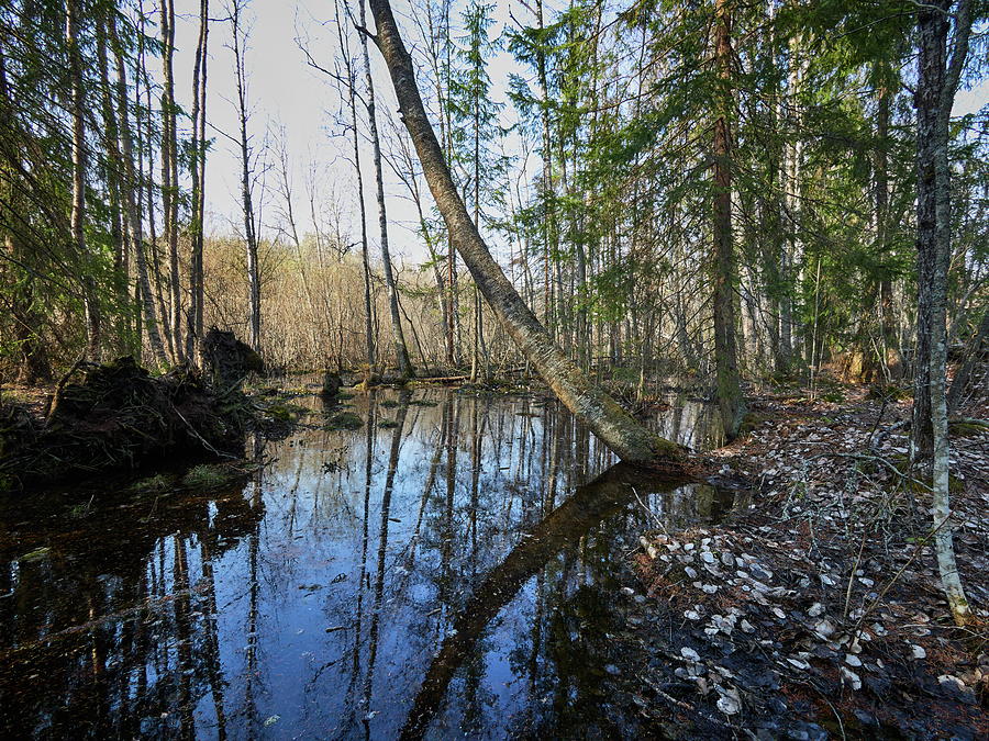 Ancient river valley of Kokemaenjoki Photograph by Jouko Lehto