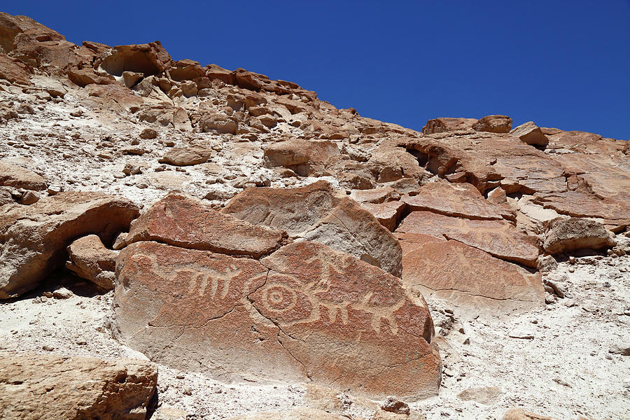Ancient Rock Art at Ofragia Chile Photograph by James Brunker