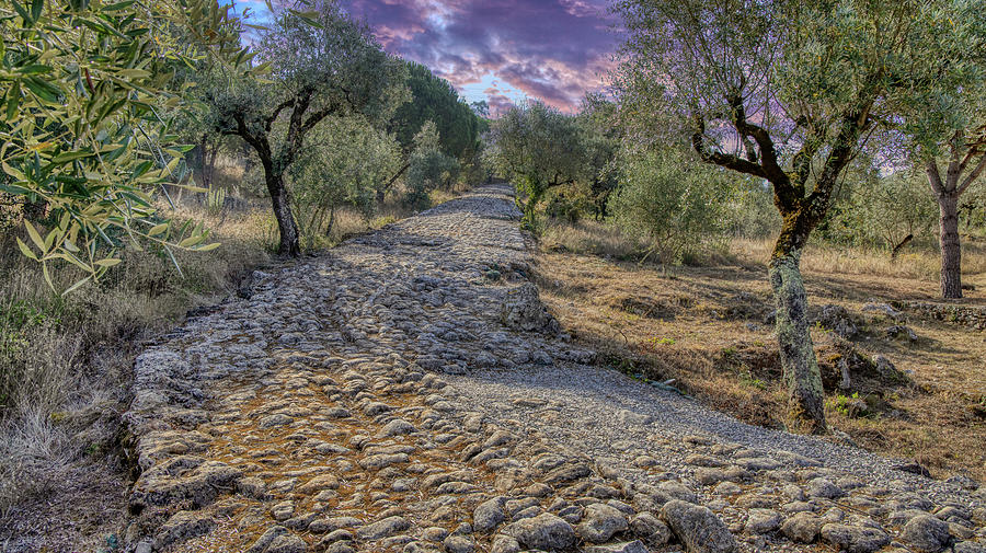 Ancient Roman Road Photograph by Micah Offman