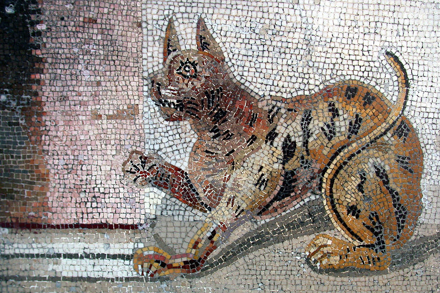 Ancient Tile Cat Painting by Unknown