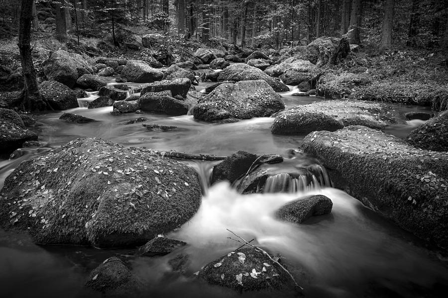 And Always Follow The Creek Photograph by Norbert Maier