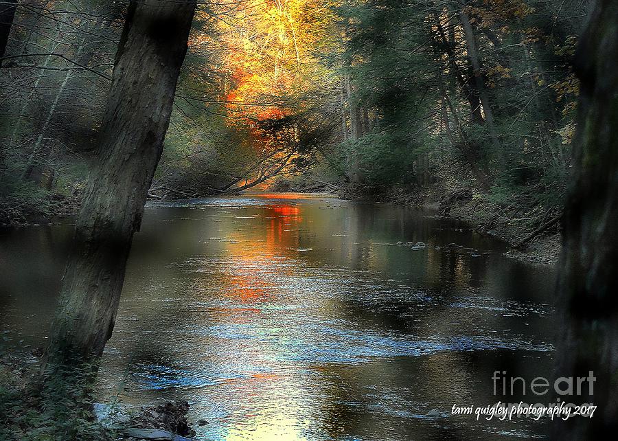 Fall Photograph - And Autumn Comes  by Tami Quigley