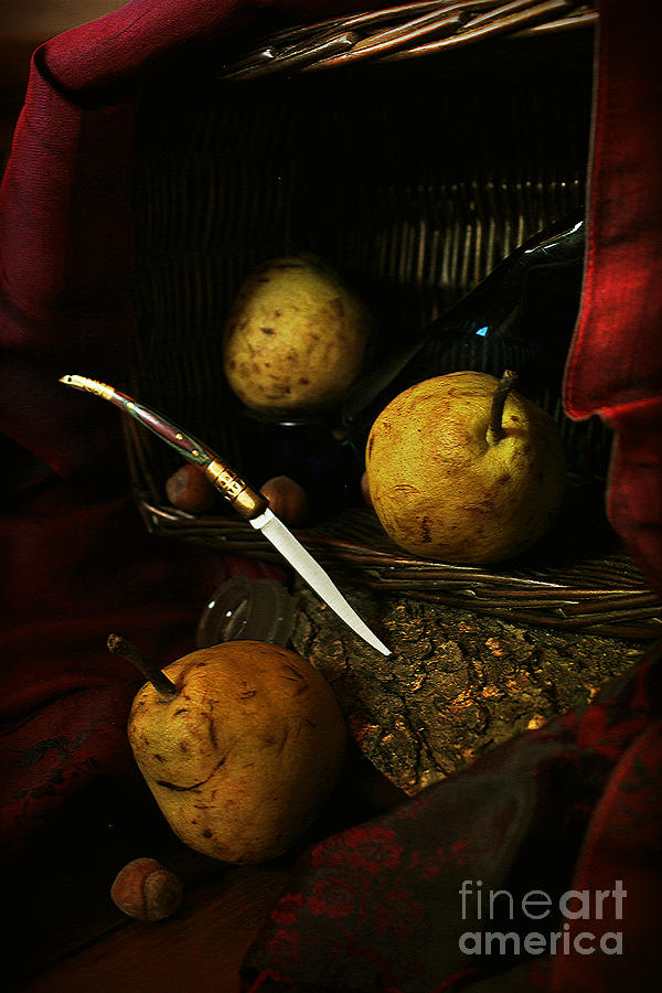 And Penknife Photograph by Binka Kirova