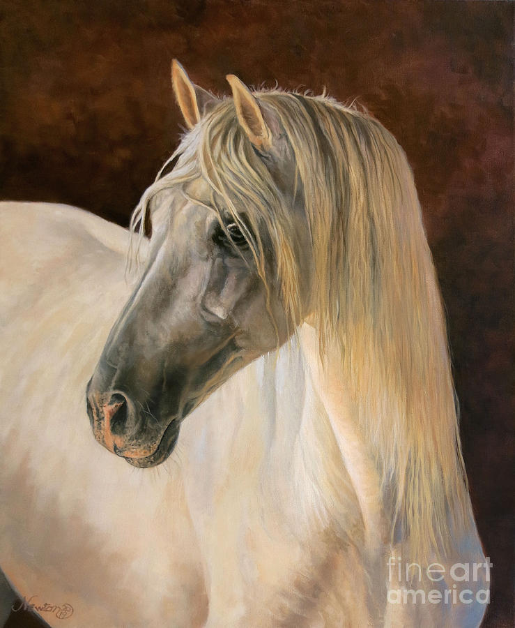 Andalusion by Jeanne Newton Schoborg Andalusion by Jeanne Newton Schoborg