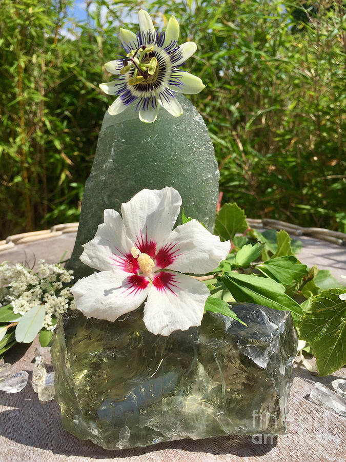 Andara Crystalline Creation by Nathalie DAOUT Andara Crystalline Creation by Nathalie DAOUT