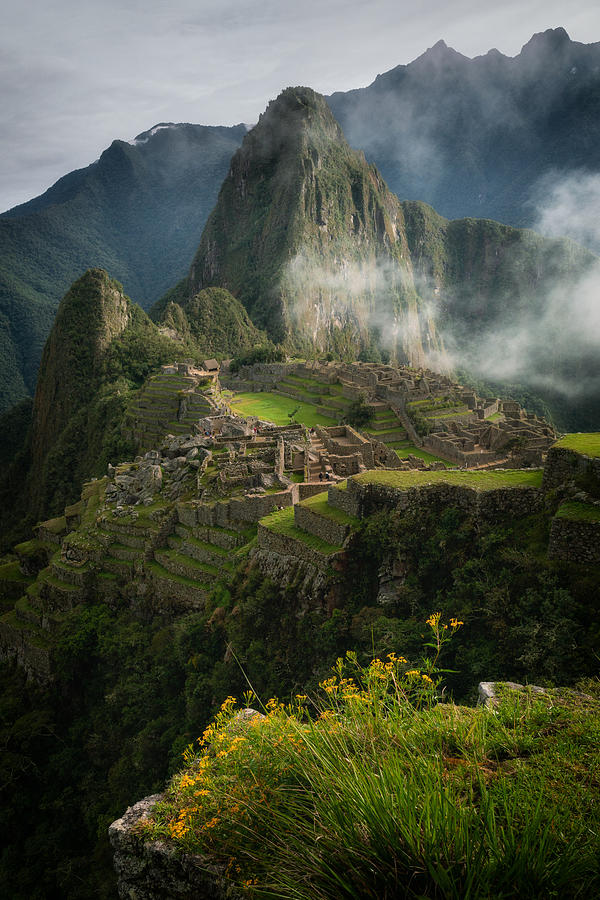 Mountain Photograph - Andean Garden by James K. Papp