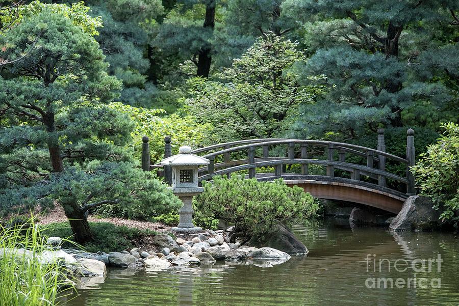Anderson Japanese Gardens 4 Photograph By David Bearden