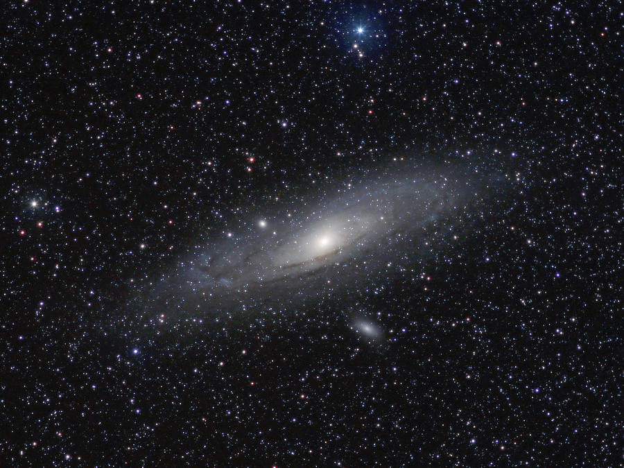 Andromeda Galaxy M31 Photograph by Steve Irvine