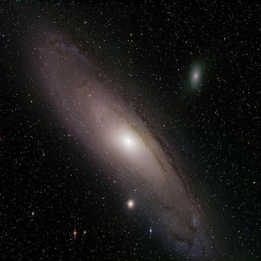 Andromeda galaxy Photograph by Sebastian Musial