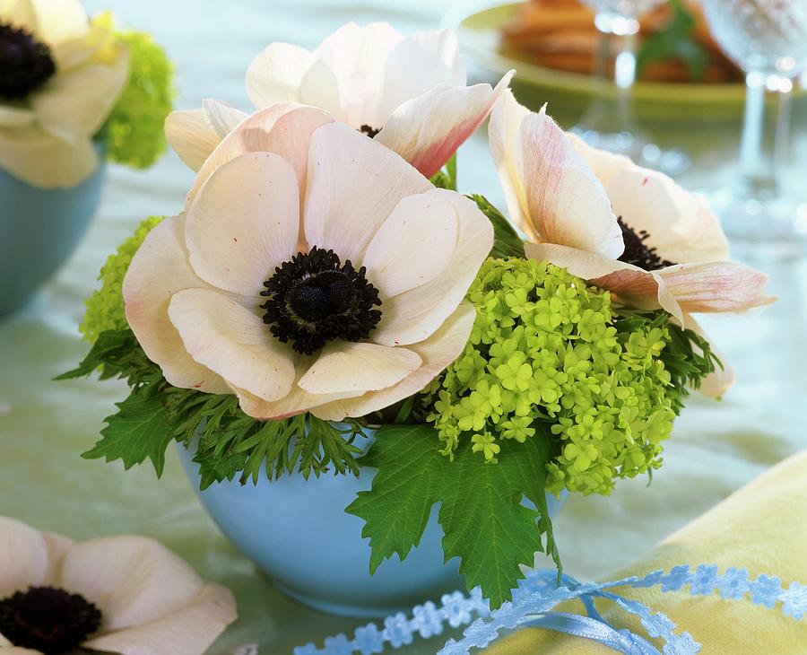 Anemone Coronaria With Viburnum In Pale-blue Bowl Photograph by Friedrich Strauss