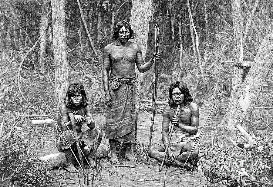 Angaite Indians, North Chaco, Paraguay Drawing by Print Collector