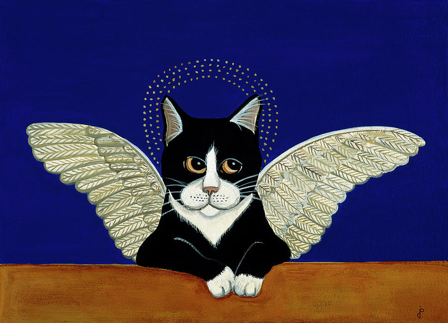 Cat pictures angel 