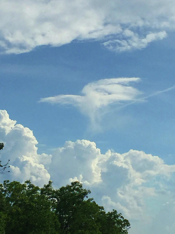 Angel Cloud Appears  Photograph by Matthew Seufer