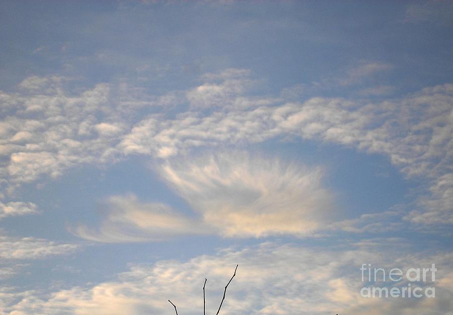 Angel in the sky Photograph by Karen Jane Jones