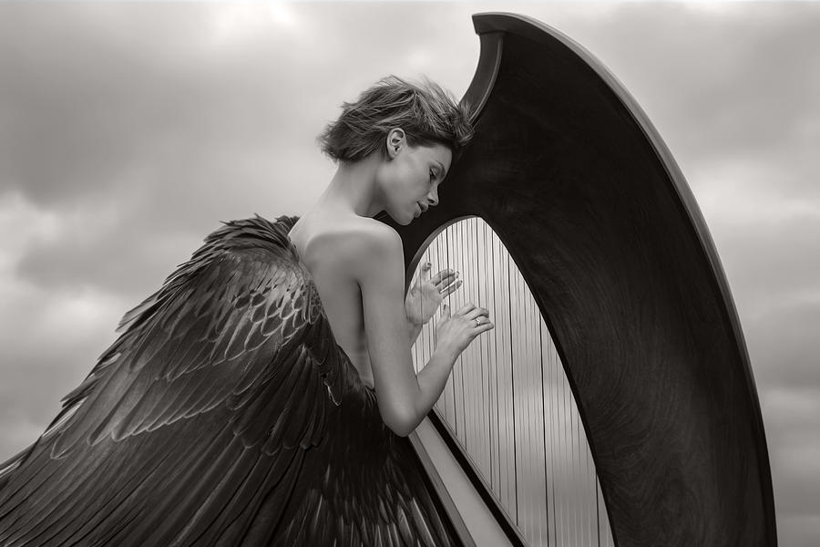 Angelplay Photograph by Marcel Egger