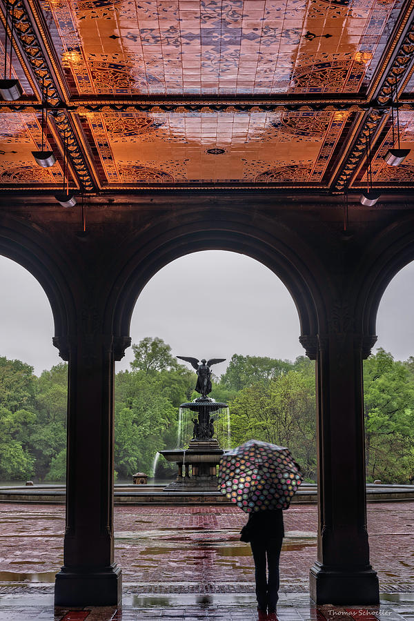 Angels of Water - Bethesda Terrace  Photograph by TS Photo