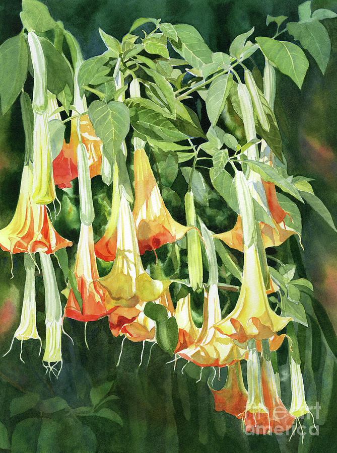 Flower Painting - Angels Trumpet Tropical Flowers by Sharon Freeman