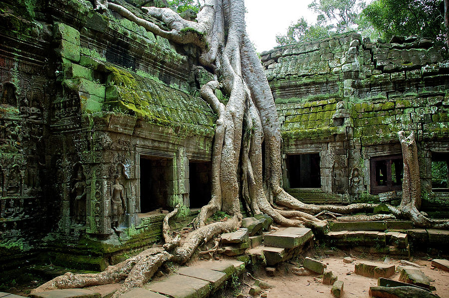 Angkor Wat Photograph by Elmonty