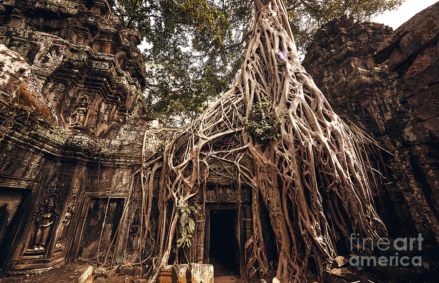 Castle Photograph - Angkor Wat Temple In Siem Reap, Cambodia by Andrey Bayda Castle Photograph - Angkor Wat Temple In Siem Reap, Cambodia by Andrey Bayda