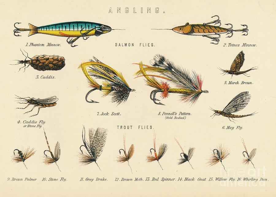 Angling Drawing by Print Collector