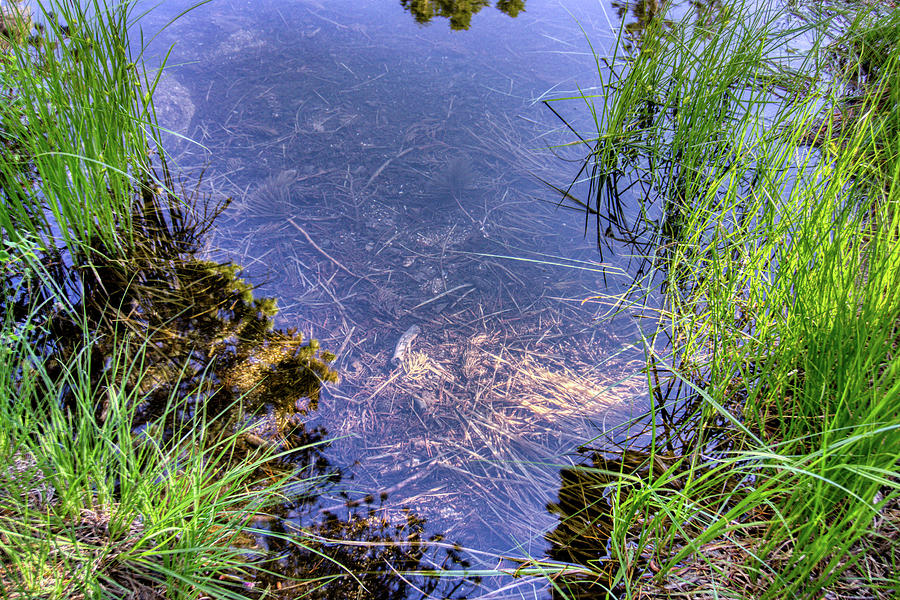 Angora Lakes Clear Water Photo Photograph by Anthony Giammarino