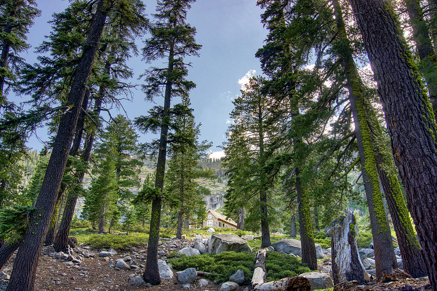Angora Lakes Forest Photography Photograph by Anthony Giammarino
